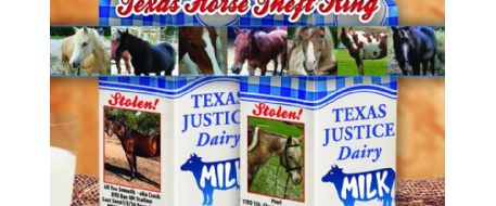 Help Bring Our Texas Horses Home